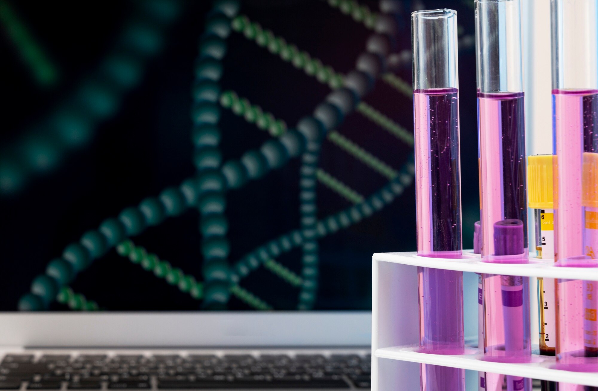 Estudio molecular macrobiótico